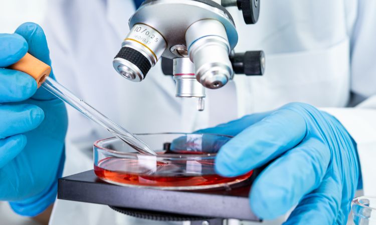 Conoce la historia de la microbiología