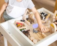 Maestría Internacional en Pedagogía Waldorf + Maestría Internacional en Pedagogía Montessori + Certificación Experto en IA para la Educación y la Docencia