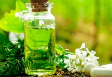 Maestría internacional en Homeopatía y Fitoterapia