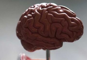 Maestría Internacional en Neuropsicología + Maestría Internacional en Deterioros Cognitivos