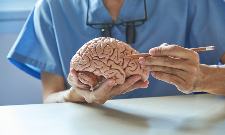 Descubre qué es un neuropsicólogo y a qué se dedica