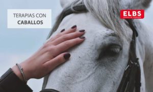 beneficios das terapias com cavalos