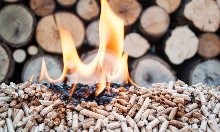 Conoce los tipos de biomasa y sus características