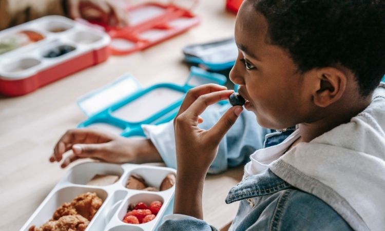 Aprende sobre la vuelta al cole y la alimentación saludable